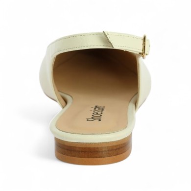 ballerine bicolore bout pointu grande taille femme Shoesissime, vue arrière